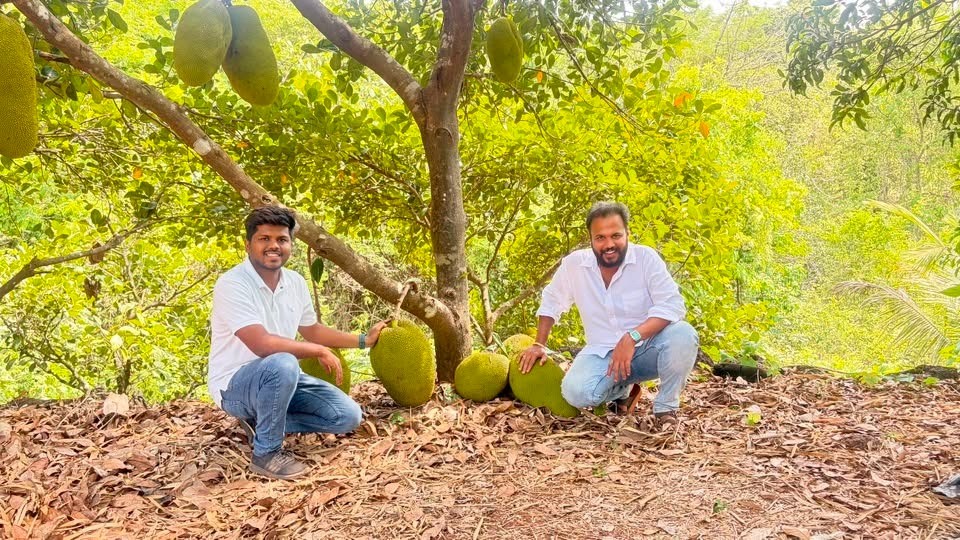 The Inspiring Journey to Becoming Maharashtra’s ‘Jackfruit King’